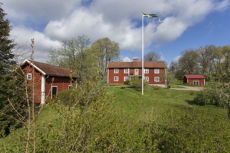 Skog o villamäklaren